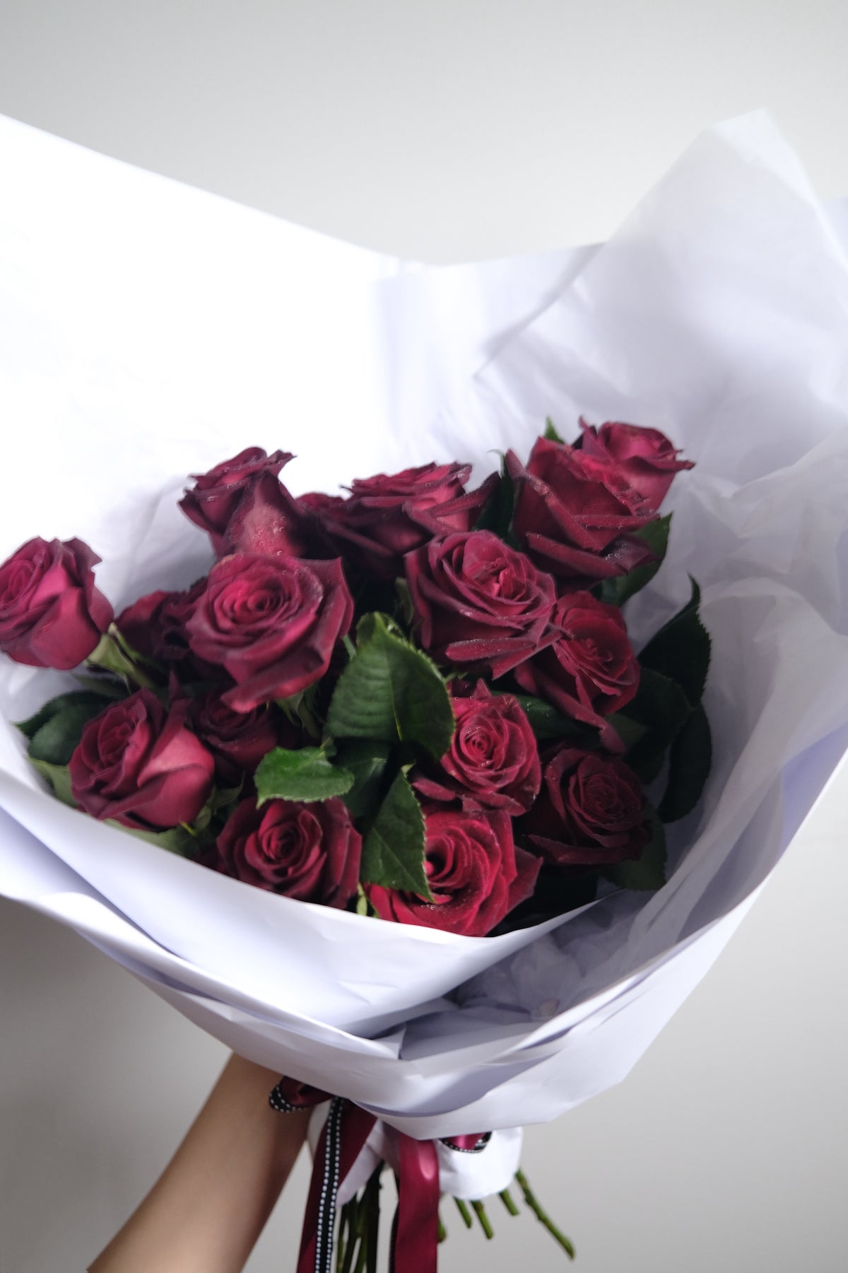 All star in Elizabeth Taylor