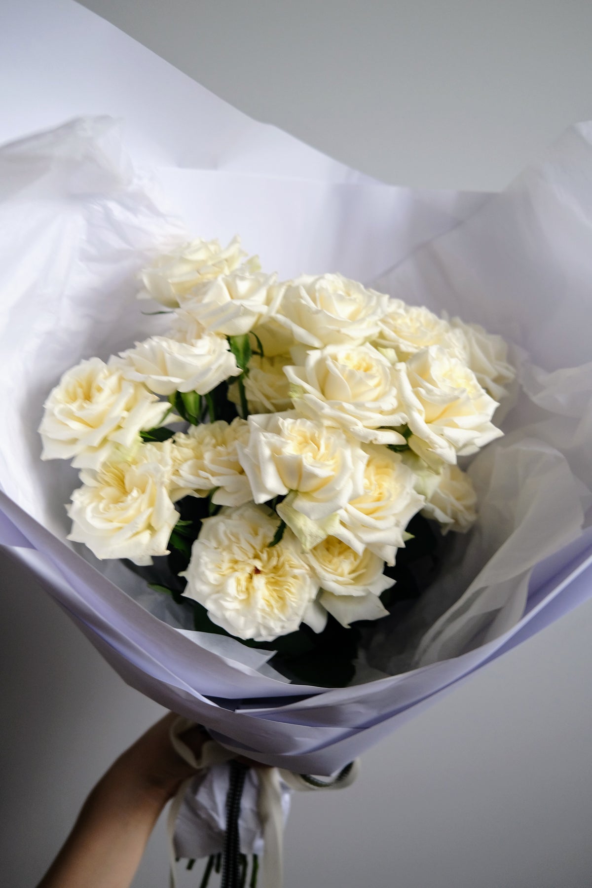 All star in Grace Kelly