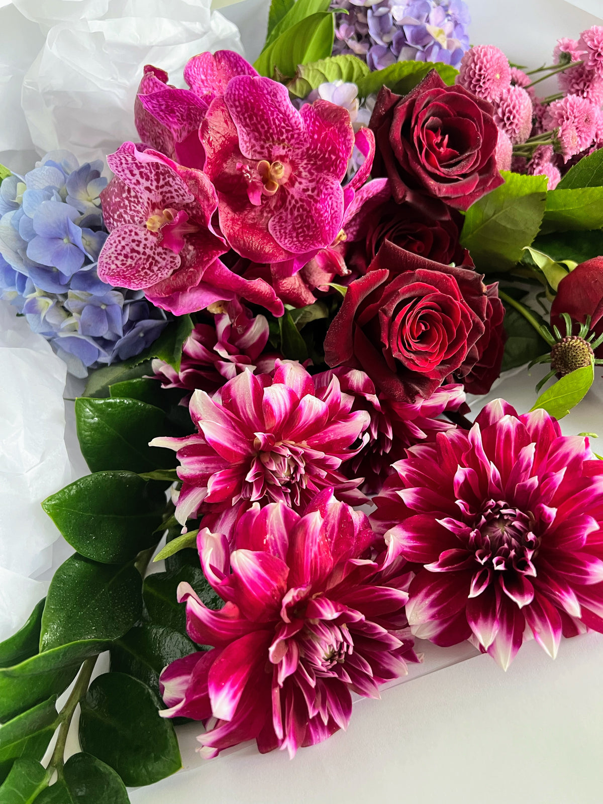 Cat on a Hot Tin Roof